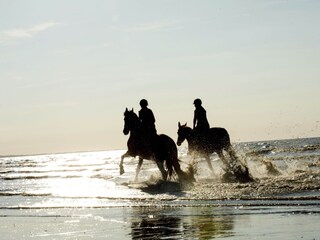 Casa per le vacanze Aagtekerke Ambiente 17