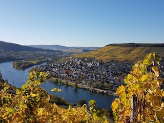 Herbst an der Mosel