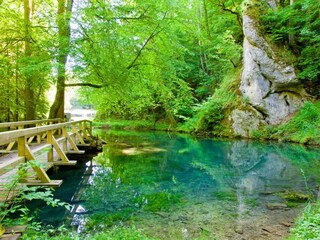 Appartamento per vacanze Hayingen Ambiente 28