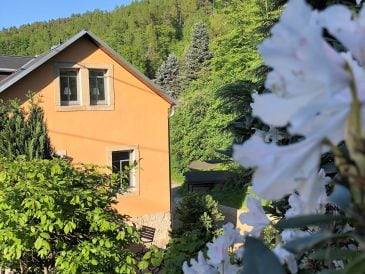 Ferienwohnung Adlerhorst