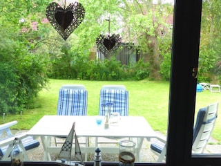 Blick in den Garten