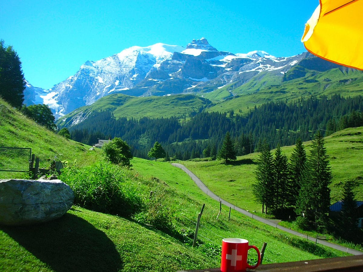 Mit Sicht auf das Blüemlisalpmassiv