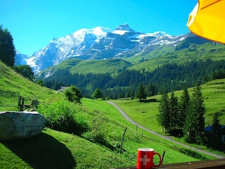 Mit Sicht auf das Blüemlisalpmassiv