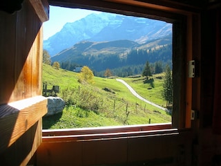 wunderbare Aussicht auf das Blüemlisalpmassiv