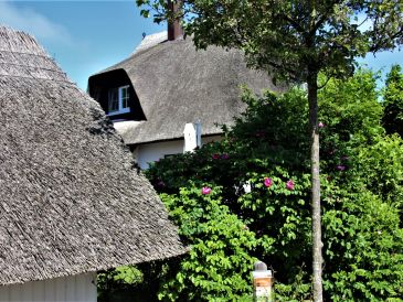 Ferienhaus Himmel und Meer