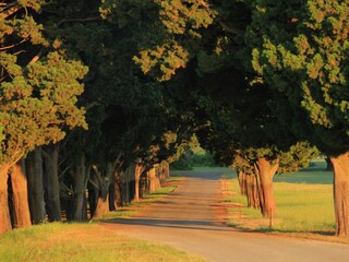 National park Brijuni