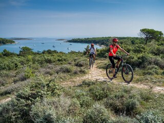 Villa Vodnjan Ambiente 38