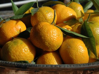 Casa per le vacanze Scicli Ambiente 29