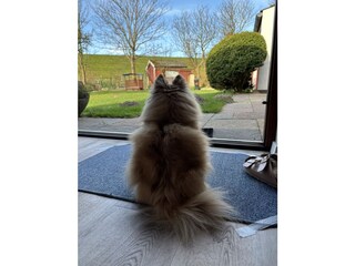 Candy auf ihrem Wachposten