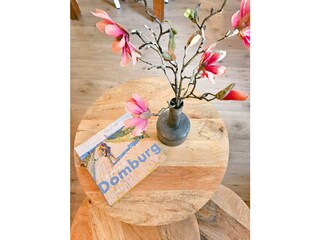 Vakantiehuis Domburg Kenmerken 8