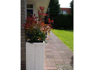 Vakantiehuis Domburg Buitenaudio-opname 3