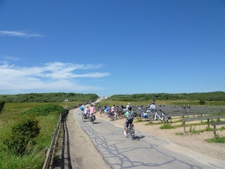 Vakantiehuis Domburg Omgeving 23
