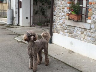 Appartamento per vacanze Udine Ambiente 24