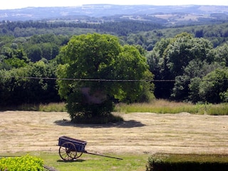 Ferienhaus Le Quartier Umgebung 31
