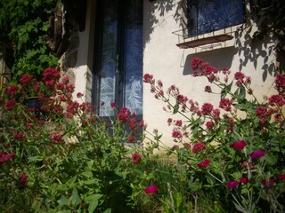 Holiday house Le Quartier  29