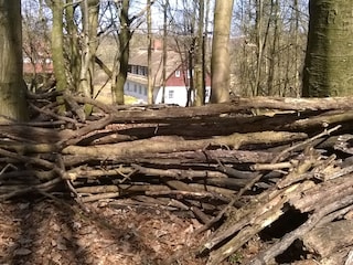 Höhlenbau mit Blick auf das Haus