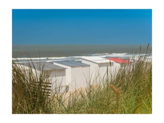 Holiday house De Haan Outdoor Recording 9
