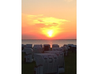 Ferienhaus Norddeich Umgebung 13