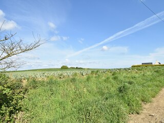 Holiday house Gommenec'h Environment 40