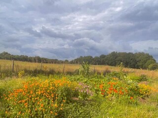 Casa de vacaciones Gommenec'h Entorno 26