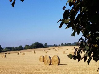 Casa per le vacanze Gommenec'h Ambiente 27