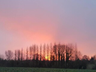 Ferienhaus Gommenec'h Umgebung 29