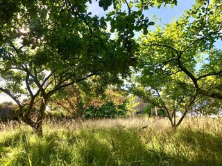 Casa per le vacanze Gommenec'h Ambiente 38
