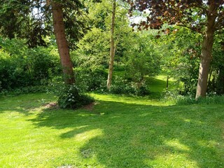 Holiday apartment Drochtersen / Krautsand Environment 7