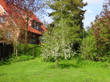 Große Ferienwohnung Südterrasse in Sandstrandnähe der Elbe