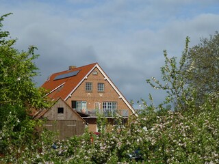 Holiday apartment Drochtersen / Krautsand Outdoor Recording 4