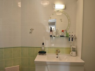 Villa Félines-Minervois Caratteristiche 15