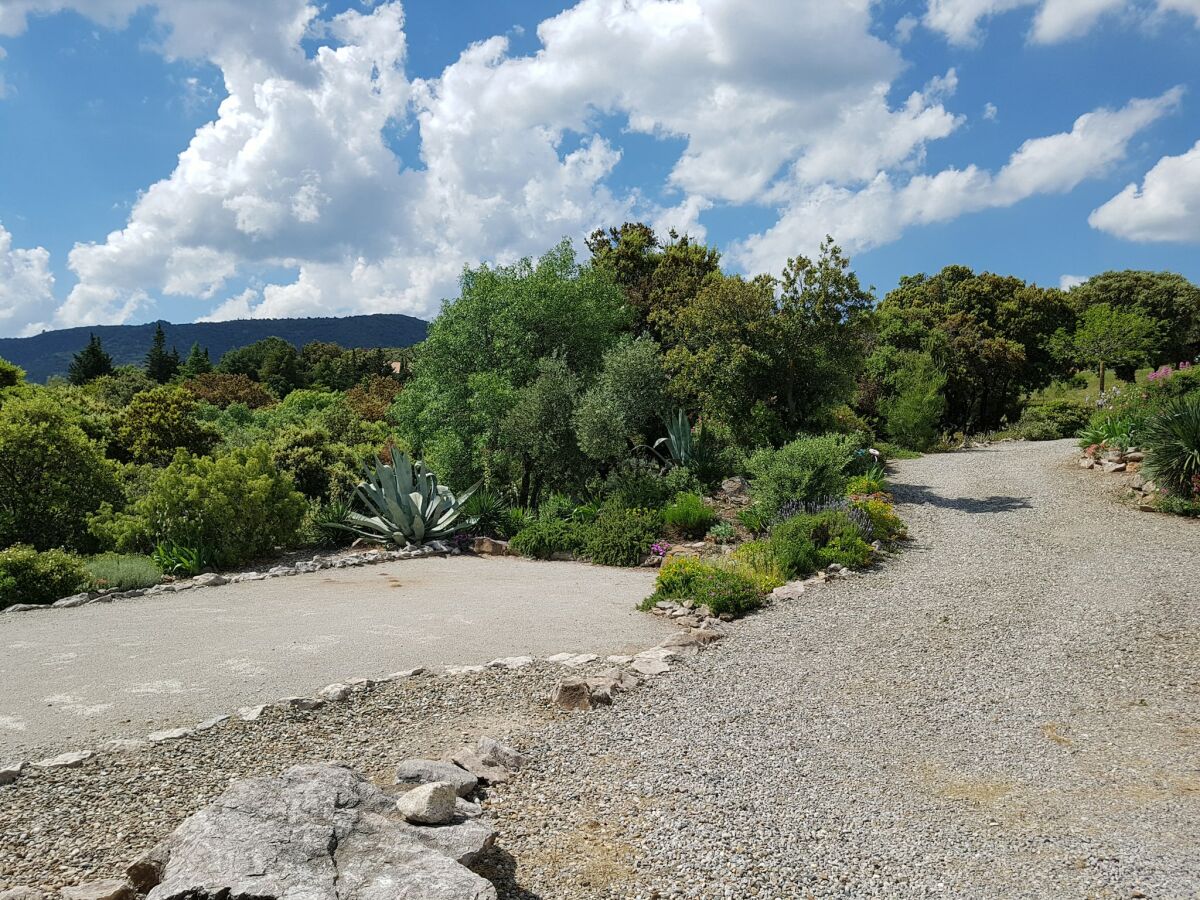 Villa Félines-Minervois Außenaufnahme 9