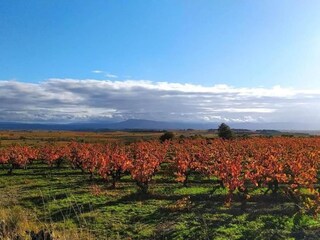 Villa Félines-Minervois Ambiente 38