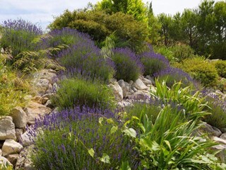 Villa Félines-Minervois Omgeving 35
