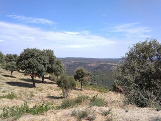 Villa Félines-Minervois Omgeving 36