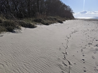 Casa de vacaciones Groß Schwansee Entorno 33