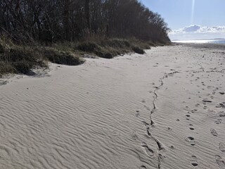 Vakantiehuis Groß Schwansee Omgeving 33