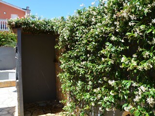 Vakantiehuis Vodnjan Buitenaudio-opname 10