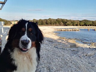 Casa per le vacanze Vodnjan Ambiente 35