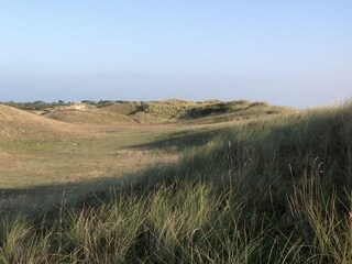 Uncrowded dunes, ideal for walking