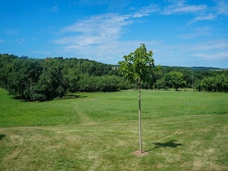 Holiday house Cordes-sur-Ciel Outdoor Recording 18