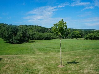 Ferienhaus Cordes-sur-Ciel Außenaufnahme 18