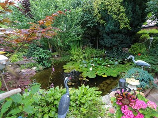 Teich