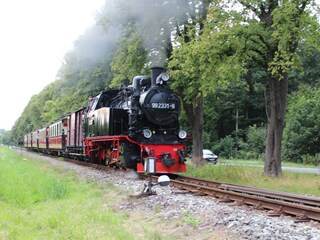 Die Mollibahn