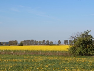 Natur pur