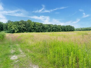 Maison de vacances Exloo Environnement 34