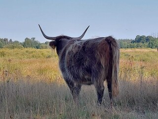 Casa per le vacanze Exloo Ambiente 42