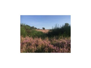 Maison de vacances Exloo Environnement 35