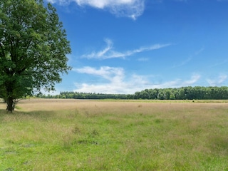 Holiday house Exloo Environment 31