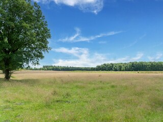 Holiday house Exloo Environment 34